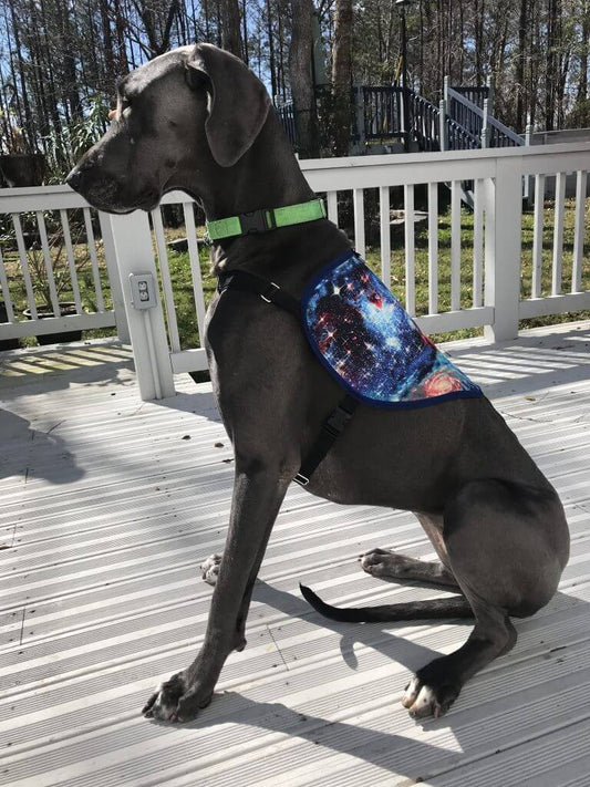 Second chance at life