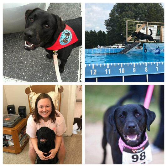 My Best Friend Has Four Legs