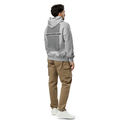 Average Human Life In Weeks Oversized Hoodie - Grey