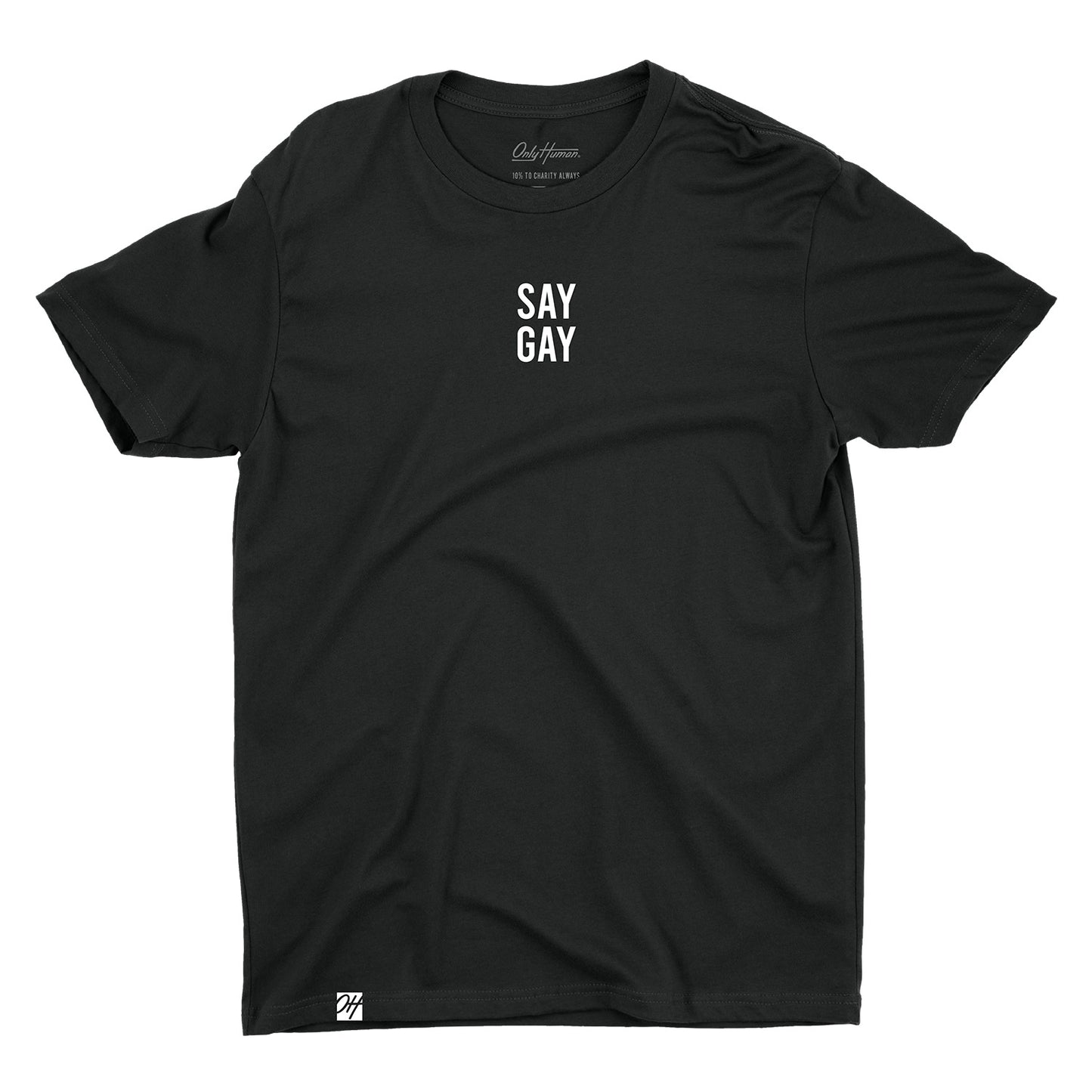 Say Gay Tee
